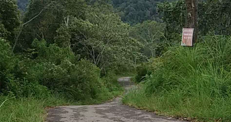 Condition of the road to the MHPP location